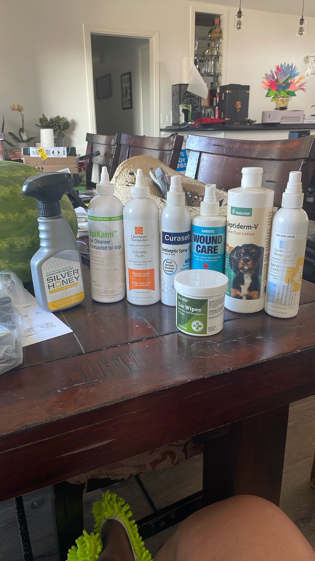 Dog Supplies