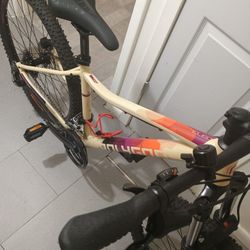 Polygon Cleo 2 MTB