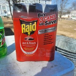 raid bug killer