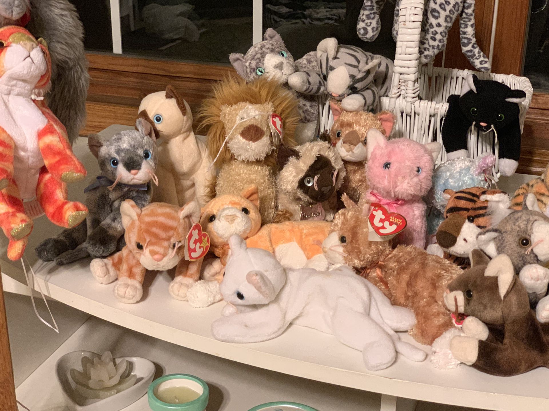 Beanie Baby Cat collection