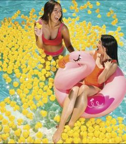 Plastic duckies