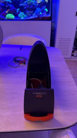 Trident NP