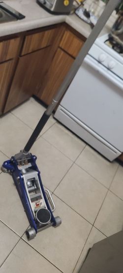 Un gato de aluminio