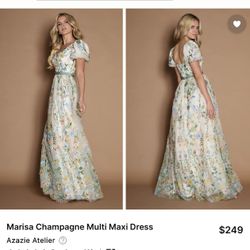 Marisa Champagne Multi Maxi Dress