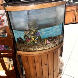 Fish Tank And Stand