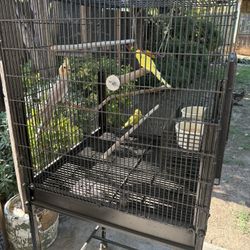 Birdcage 