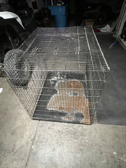Big Dog Crate 