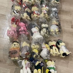 Raising Canes Plush Puppy Lot