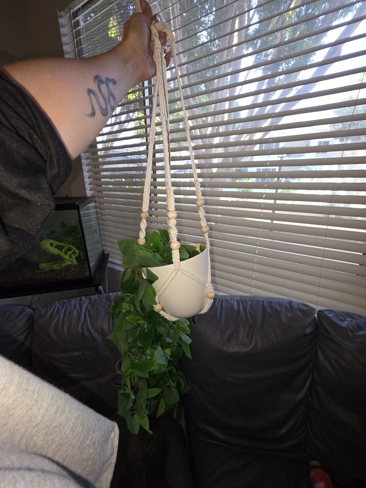 Fake Hanging Plant