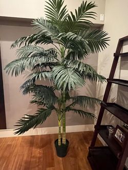 Beautiful, Large Artificial Palm Trees