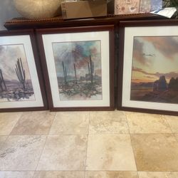 Beautiful Arizona Art