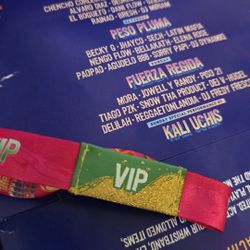 VIP Baja Beach festival Ticket
