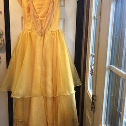 Costume- Beauty & The Beast -Belle - $15