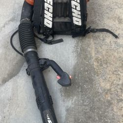 Echo Leaf Blower 