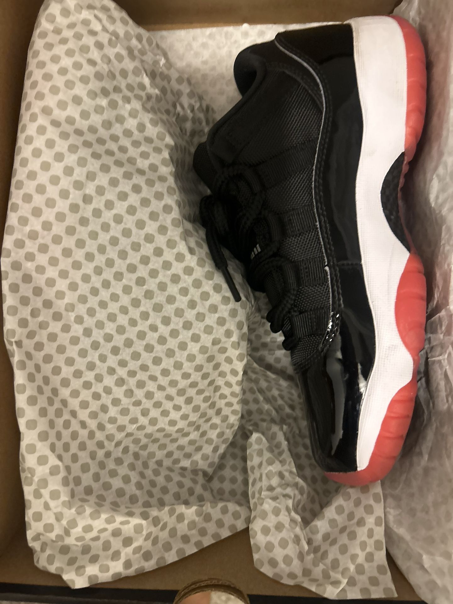 jordan 11 low