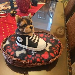 Brand New Cute Dog In A Sneaker Figurine