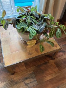Designer table R Capron