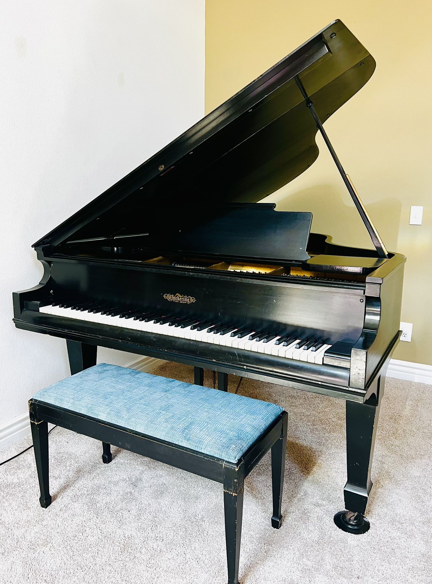 Chickering Grand Piano With Bench