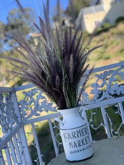 Pampas’s Dry Grass 