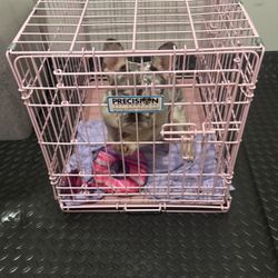 Small Size Dog Cage 