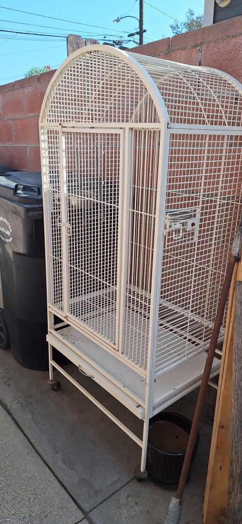 Bird Cage