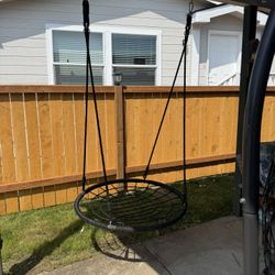 Spider Web Tree Swing