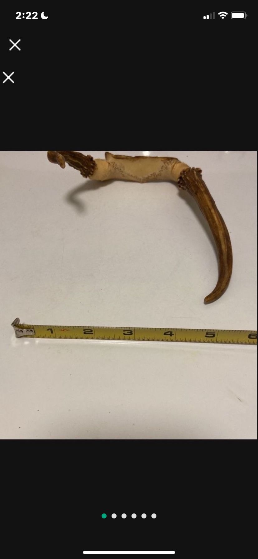 Small Deer Antler Rack