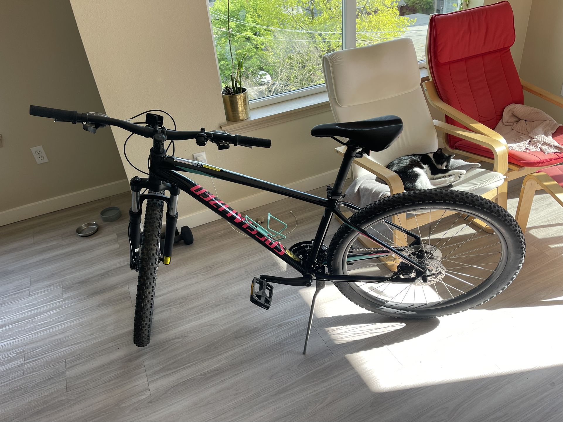 Specialized, bike, specialized bike