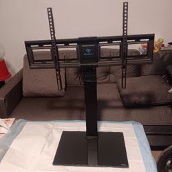T v Stand mount