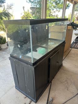 Large fish tank with stand