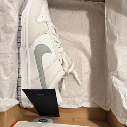 Nike Dunks (NEW)