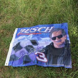 Busch dale Earnhardt #3 flag