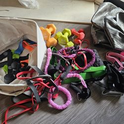 Home Workout Starter Bundle