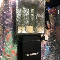 Lighting 