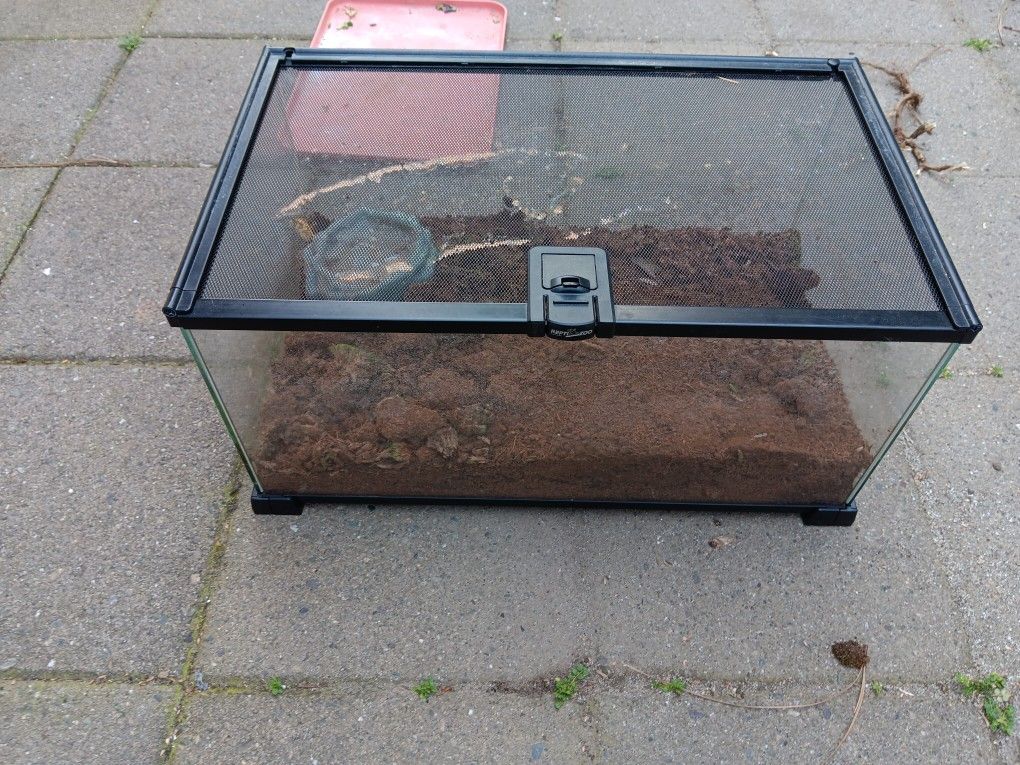 10 Gallon Reptile Aquarium