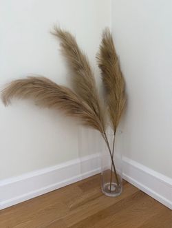 Pottery Barn Faux Pampas Stems + Glass Vase