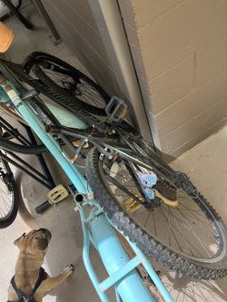Black Schwinn Sidewinder