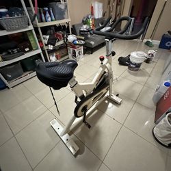 Sunny Health and Fitness Training Bike