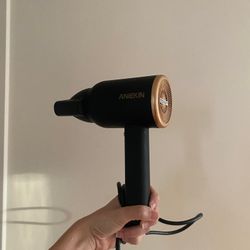 ANIEKIN Hair Dryer – Black with Gold Accent