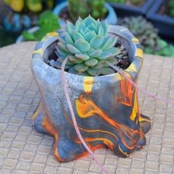 Pot & Succulent 