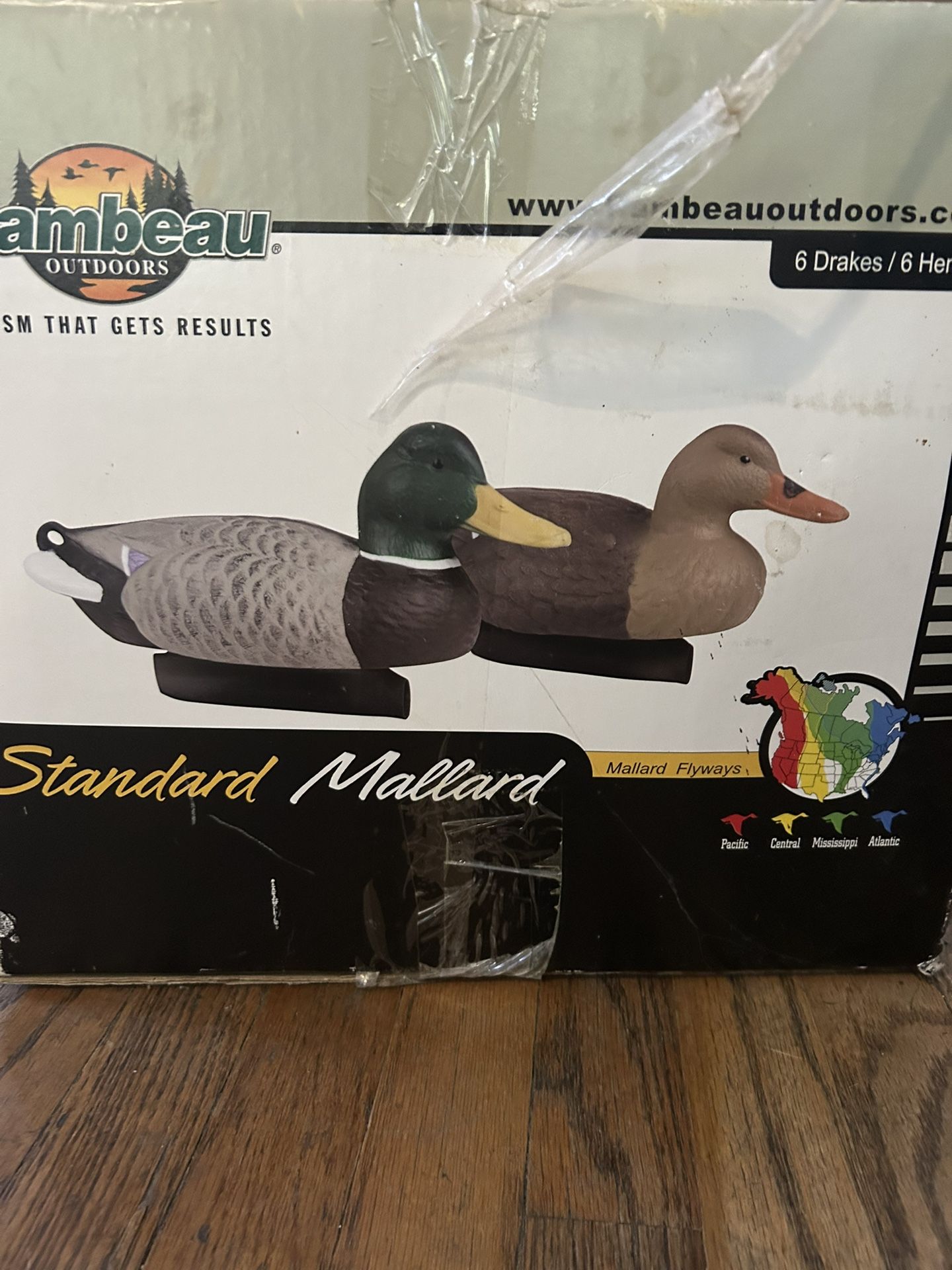 Mallard Duck Decoys