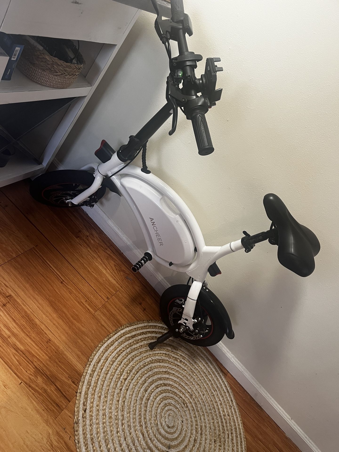 Mini E-Bike
