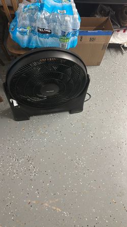 Fan