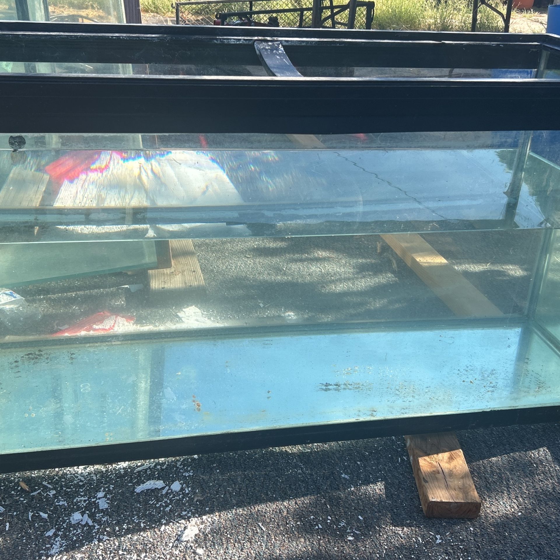 Fish Tank