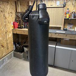 Lightly Used EverLast Punching Bag w/ Matching Gloves  