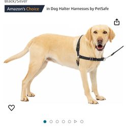 PetSafe Easy Walk Dog Harness - Stop Pulling & Teach Leash Manners - Ultimate No-Pull Control for Wa