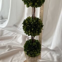 Topiary Decor 