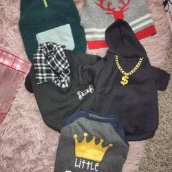 Pet Clothing
