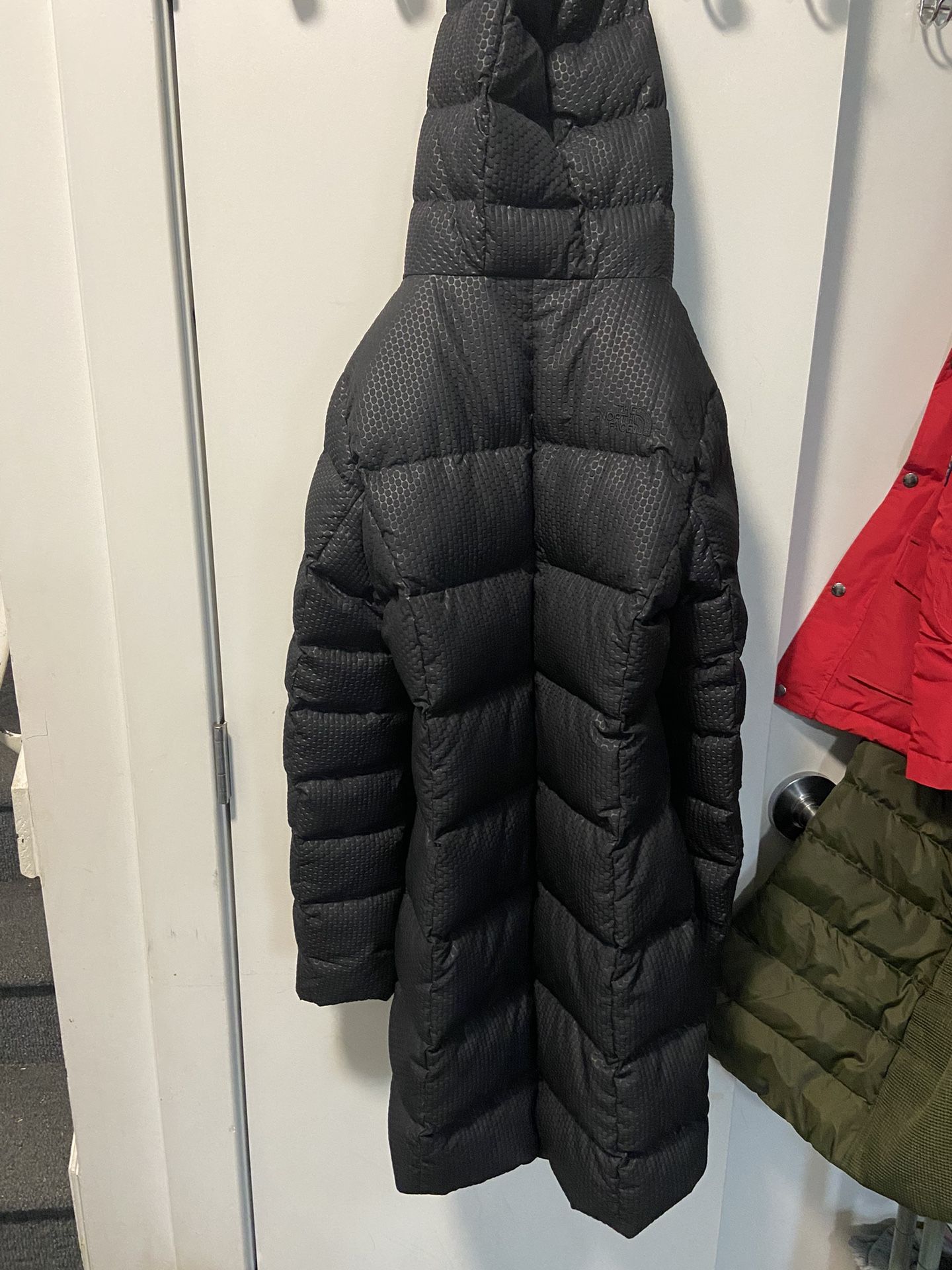 North Face Winter Jacket
