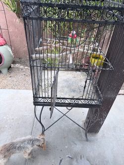 Large Black Wrought Iron Bird Cage with Stand